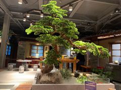 大堂-丹江渔村(首都机场店)