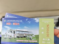 -上海海湾国家森林公园