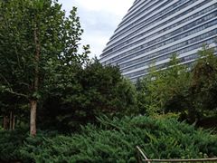 -1点点(望京SOHO店)
