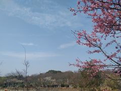 -凤凰沟景区