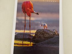 -好利来(桃源店)