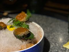 -荟廷·晶萃(陆家嘴尚悦湾店)