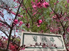 -石家庄市植物园