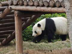 -柳州市动物园