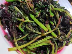 苋菜-宝翠花园餐厅(沙湖店)