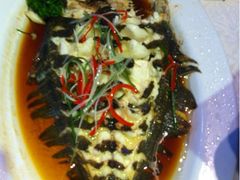 活偏口鱼清蒸-赶海部落海鲜城(海阳路店)