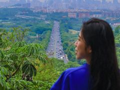 -火炉山森林公园