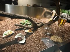 -曲廊院(东四十一条店)