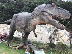 -梦幻奥陶纪景区