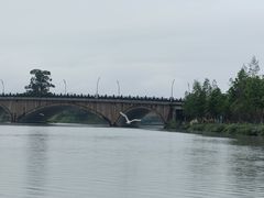 -三垟湿地
