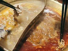 -羊大爷涮肉(亮马桥店)