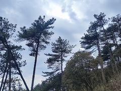 -明月山风景名胜区