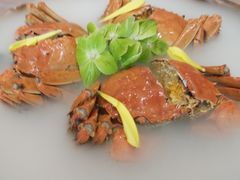 -新光酒家·河豚·海鲜·蟹料理(浦东店)