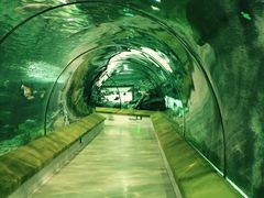 景点-福州罗源湾海洋世界旅游区