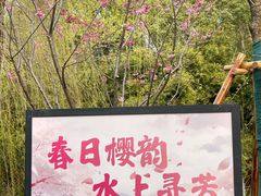 -梁鸿国家湿地公园