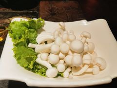 白玉菇-大匠工房古船木艺术餐厅·猪肚鸡专门店(长白仙岛店)