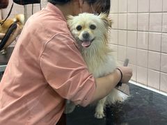 -FAELING PETS美天灵宠物(富力广场店)