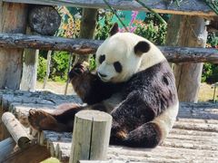 -西霞口神雕山野生动物世界