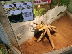 -Zoolung Zoolung动物主题公园(海信广场店)