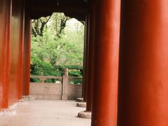 -绳金塔