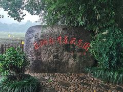 -中国茶叶博物馆(双峰馆区)
