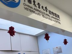 -中国农业大学动物医院