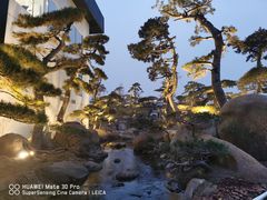 -罗红摄影艺术馆