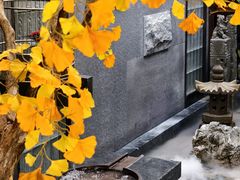 -四世同堂·京菜·烤鸭(双井店)