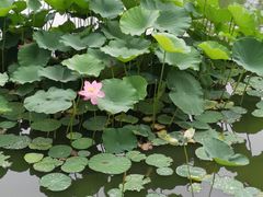 -中家鑫园温泉酒店鑫悦汤泉