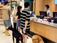 -帕帕拉兹宠物(亚洲旗舰店)