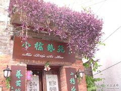 -小洲村