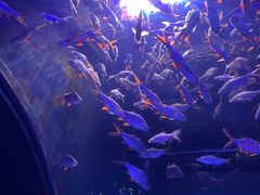 -成都浩海立方海洋公园