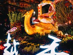 -越秀西湖花市(广州城市广场花卉店)