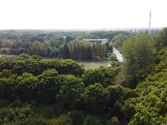 -同里国家湿地公园