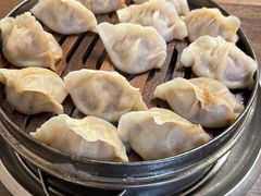 -老马家蒸饺(南海街店)