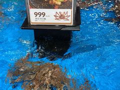 -盒马鲜生(曜一城店)