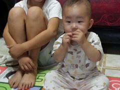 -喜莲娜动物奶油生日蛋糕(箭盘店)