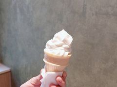 -麦当劳(农光里店)