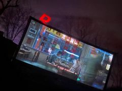 -枫花园汽车电影院(朝阳公园店)