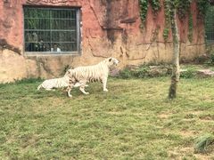 -无锡动物园·太湖欢乐园