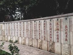 -映月湖公园