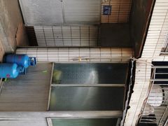 -金阳餐厅(G210国道店)
