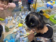 -三旗百汇商品城