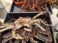 -海九澎湖海鲜餐厅