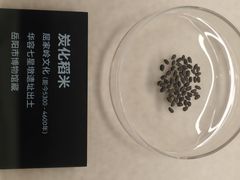 -岳阳市博物馆