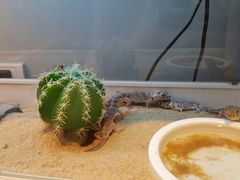 -打趸BTC·Breaktime cafe(北京路店)