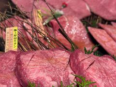 -俺的焼肉(銀座9丁目店)