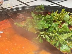 -朱光玉火锅馆(正弘城店)