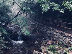 -青峰峡国家森林公园