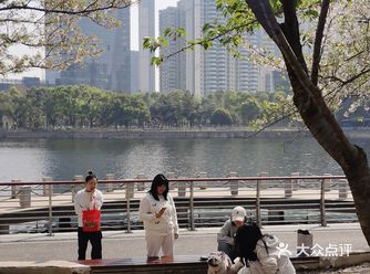 武汉樱花是武汉春季旅游的一大亮点，每年春天都会吸引大